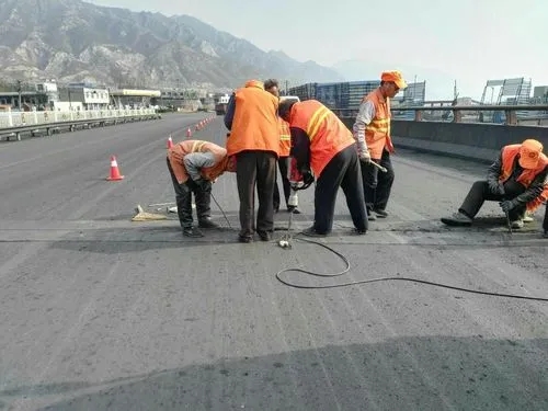 江岸道路桥梁病害治理